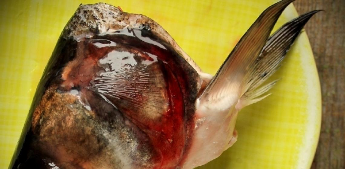 Sebze ve darı ile gümüş sazan balığı çorbası